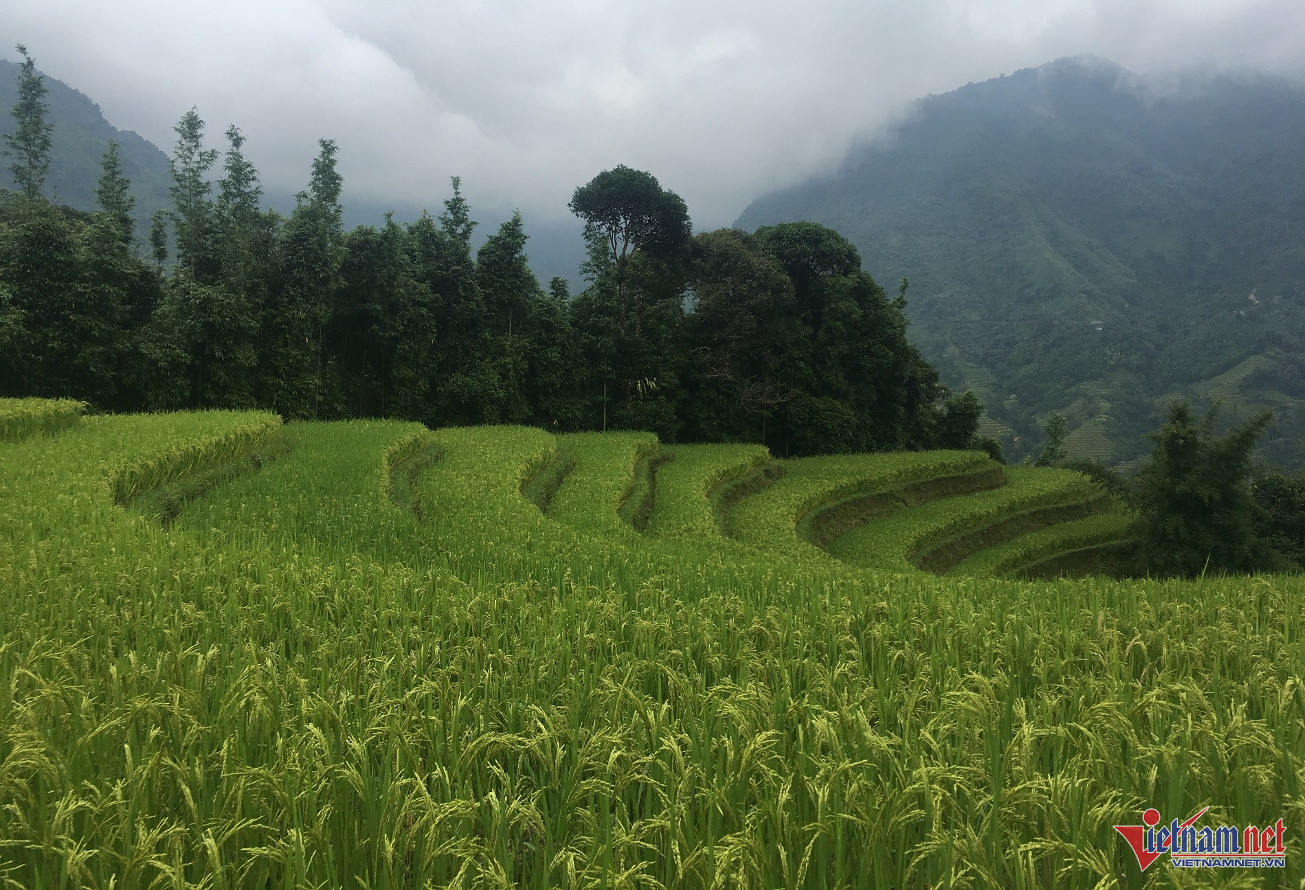 W-Tins dungj xang.jpg