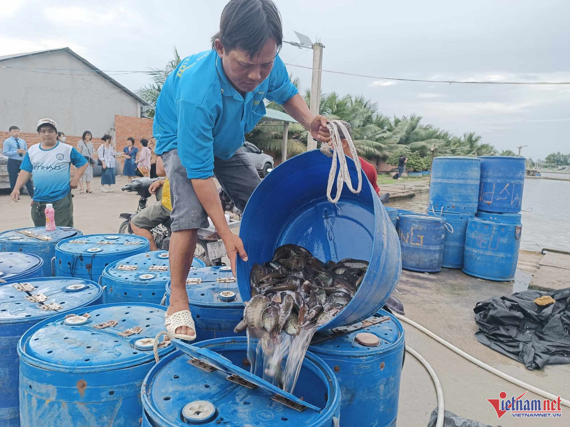 W-Tổ chức tài chính vi mô.jpg