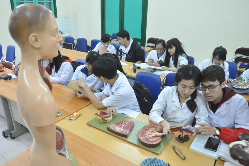 272 thí sinh đầu tiên trúng tuyển Trường Đại học Y Hà Nội