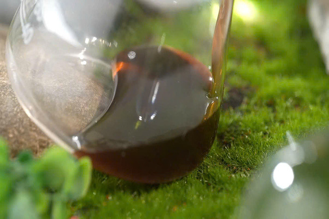 ảnh 1 (Ảnh thumb).jpg