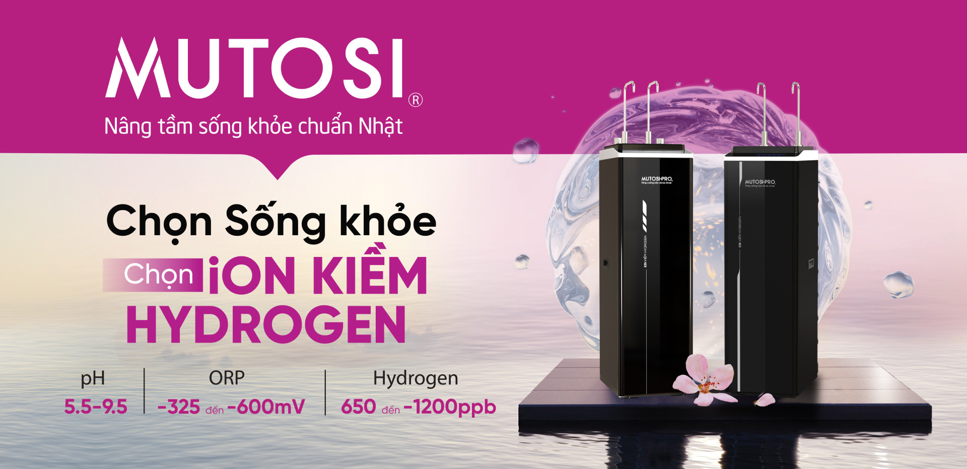 Anh_1_ff13f7ab 77b6 4bed 84ad a54f13d366a2(1).jpg