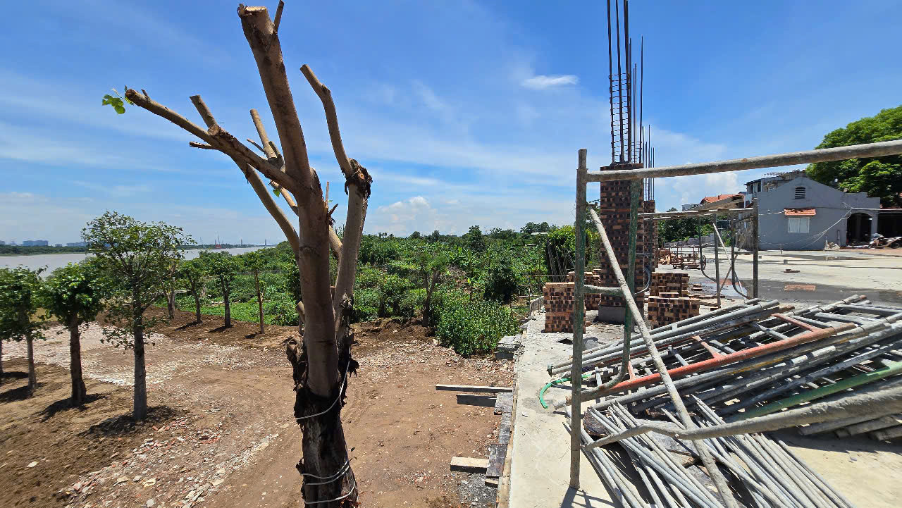 Ảnh Sông Hồng 1.jpg