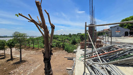 Ảnh Sông Hồng 1.jpg
