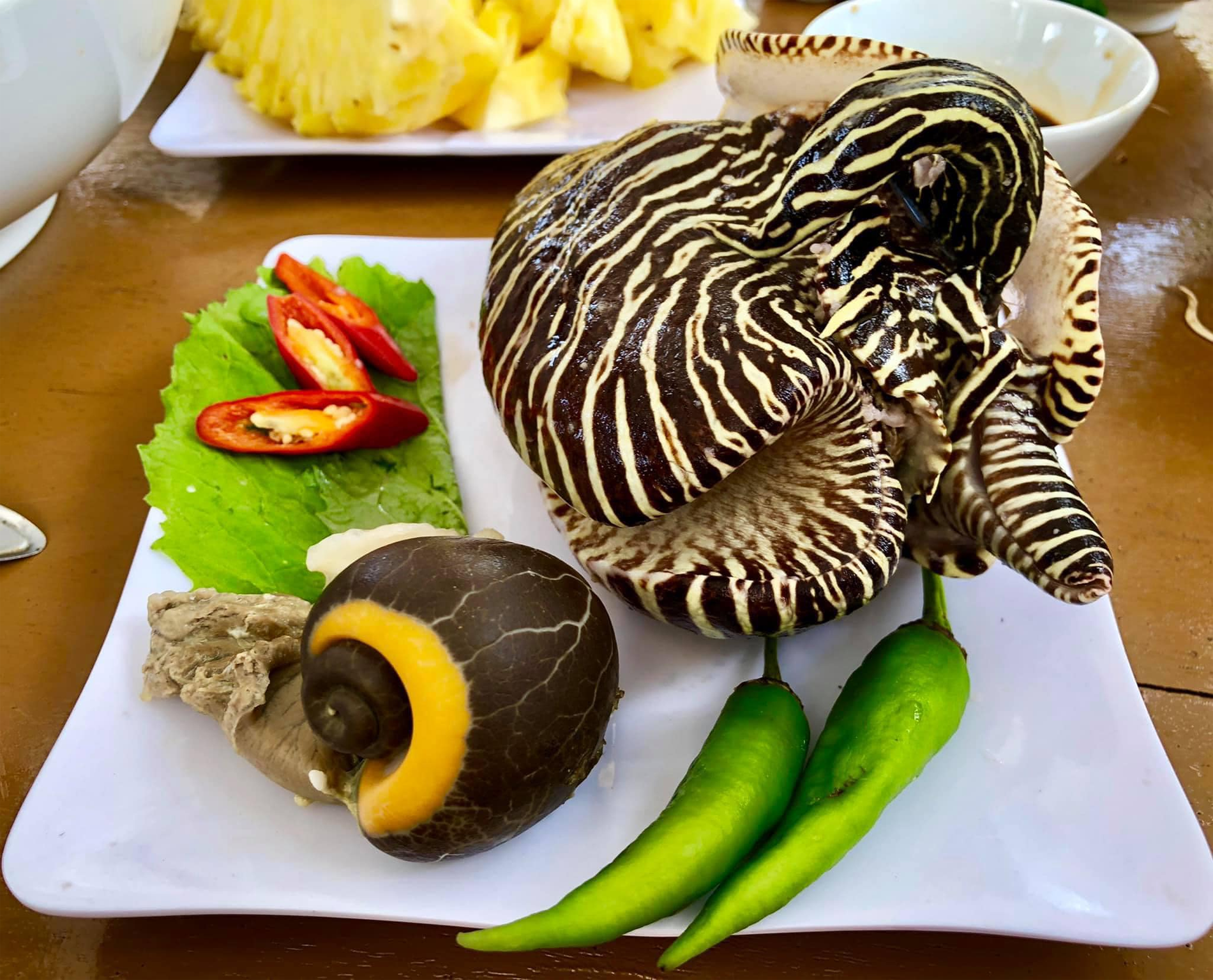 ốc giác   đặc sản Phan Thiết 0.png