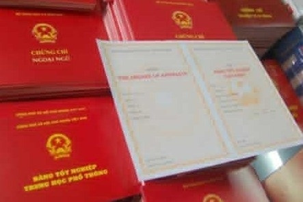 Phó chủ tịch hội võ thuật dùng bằng THPT giả