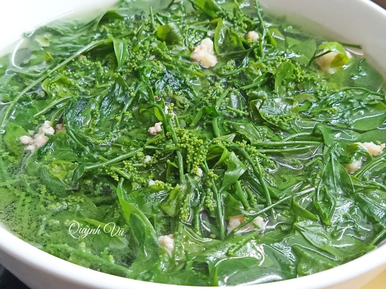 rau ngot rung quynh vu 60070.png