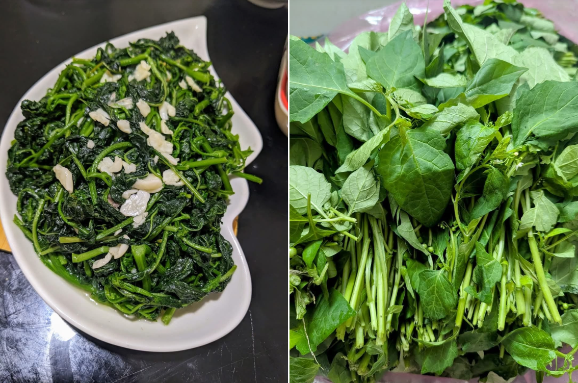 rau tam bop   ma thi chien.png