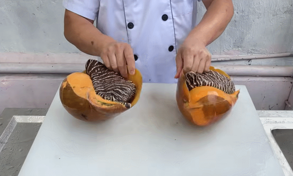 thumb ốc giác.gif