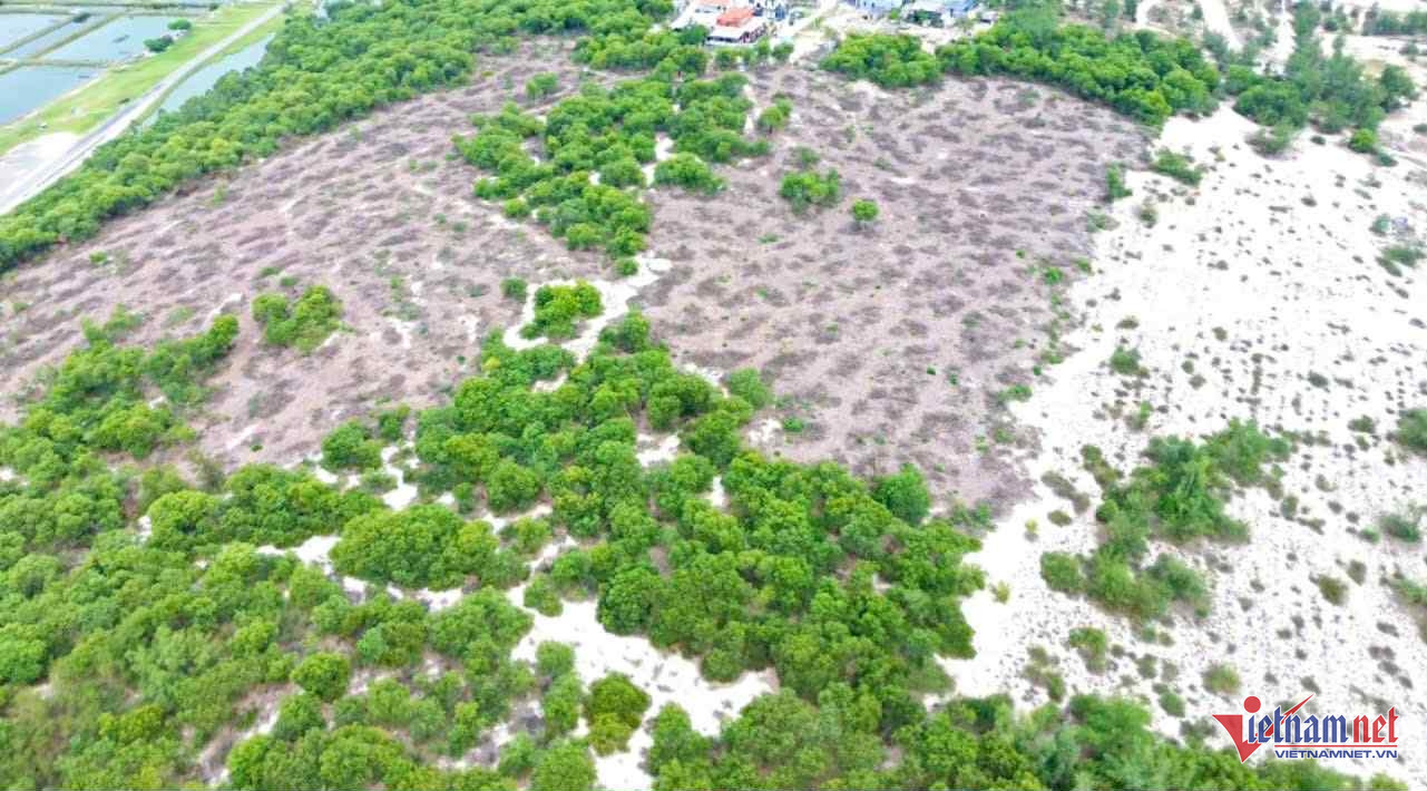 W-1c693395 4ebd 4de5 84c5 409e6222d8f6.jpg