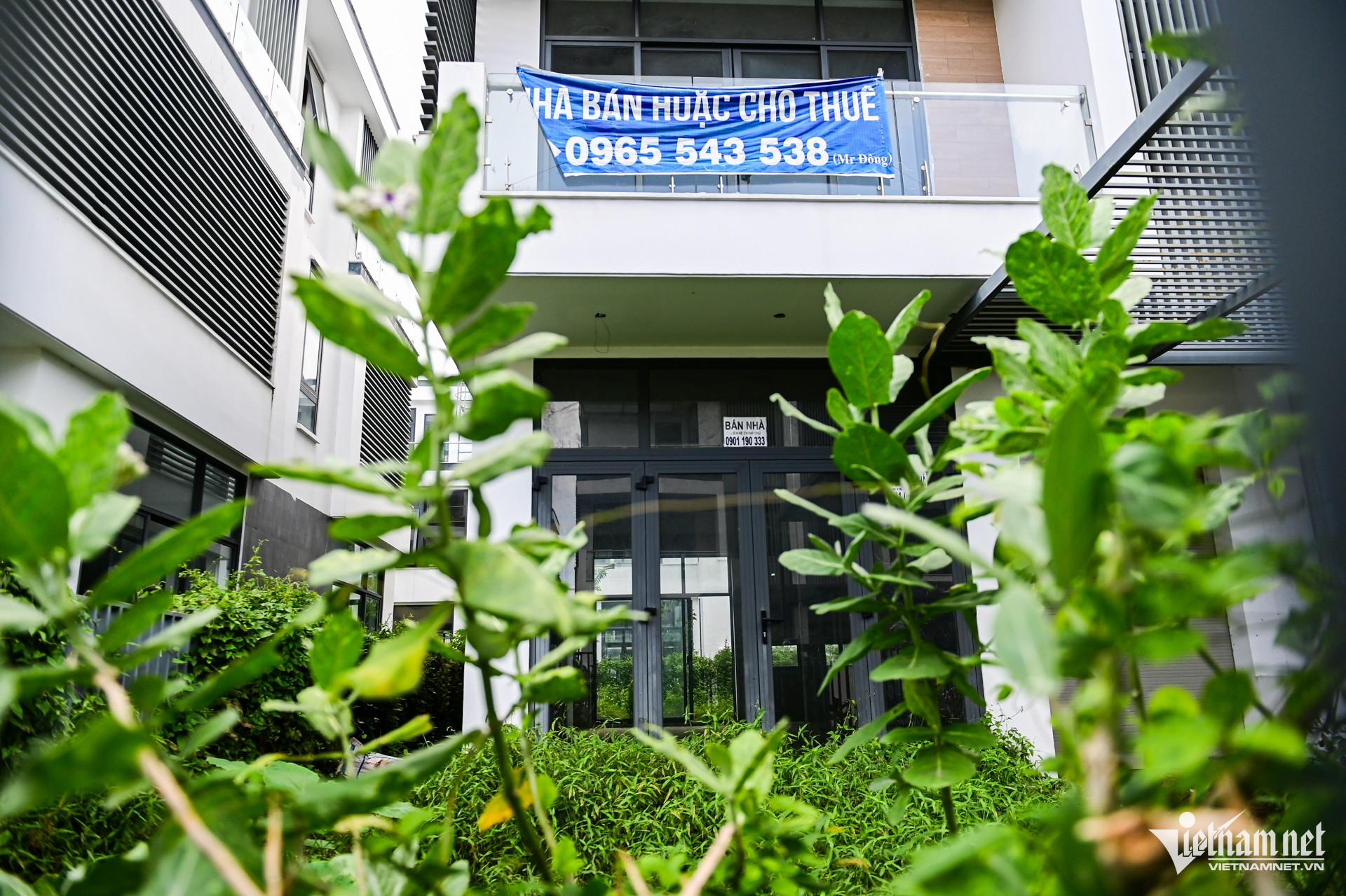 W-dự án thủ đức Nguyễn Huế 12.jpg