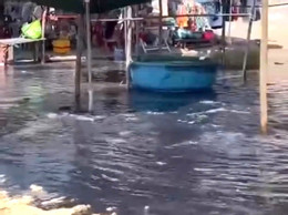 Xả thải 2.jpg