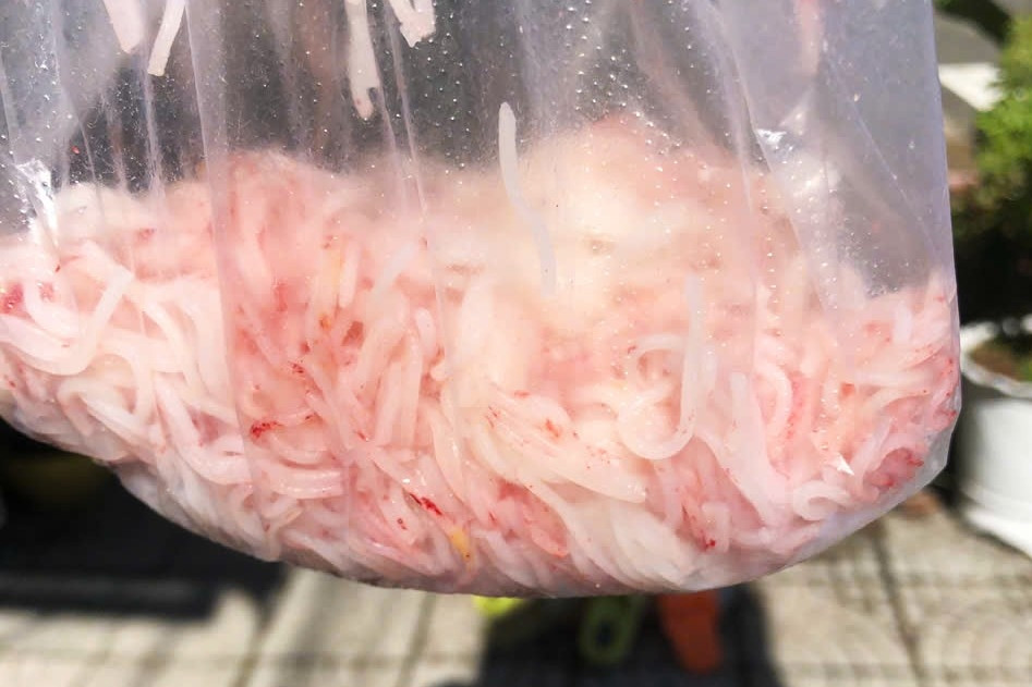 Xác định nguyên nhân vụ bún đổi từ màu trắng sang đỏ ở Đà Nẵng