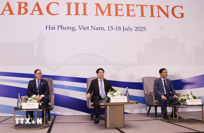 ttxvn-chu-tich-nuoc-luong-cuong-du-khai-mac-ky-hop-lan-thu-3-hoi-dong-tu-van-kinh-doanh-apec-8151545-3.jpg