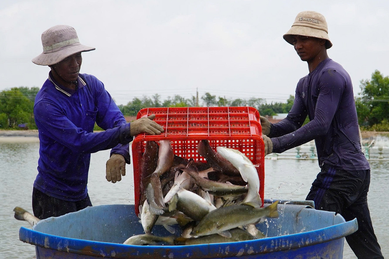 Hơn 15 năm tay trắng dựng cơ ngơi trăm tỷ của anh nông dân Võ Điền Trung Dũng