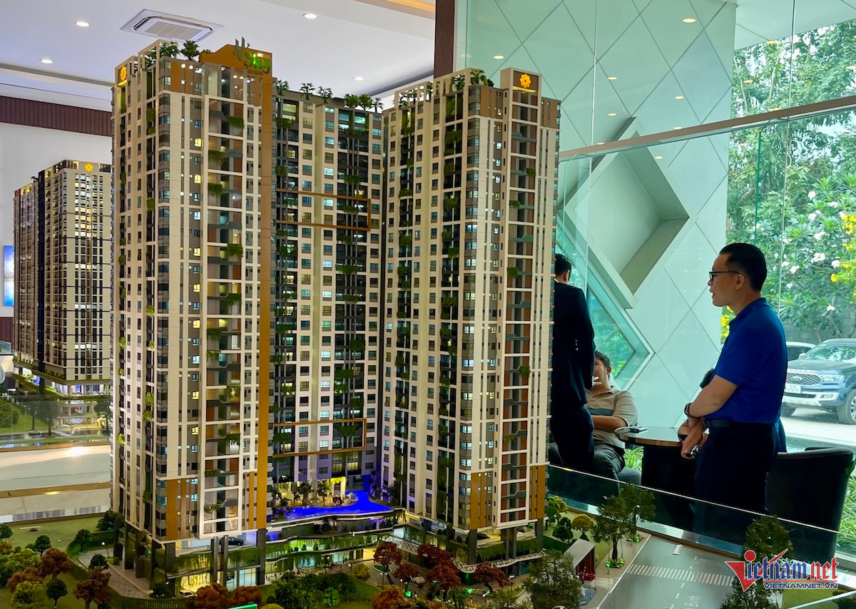 W-căn hộ tphcm.jpg