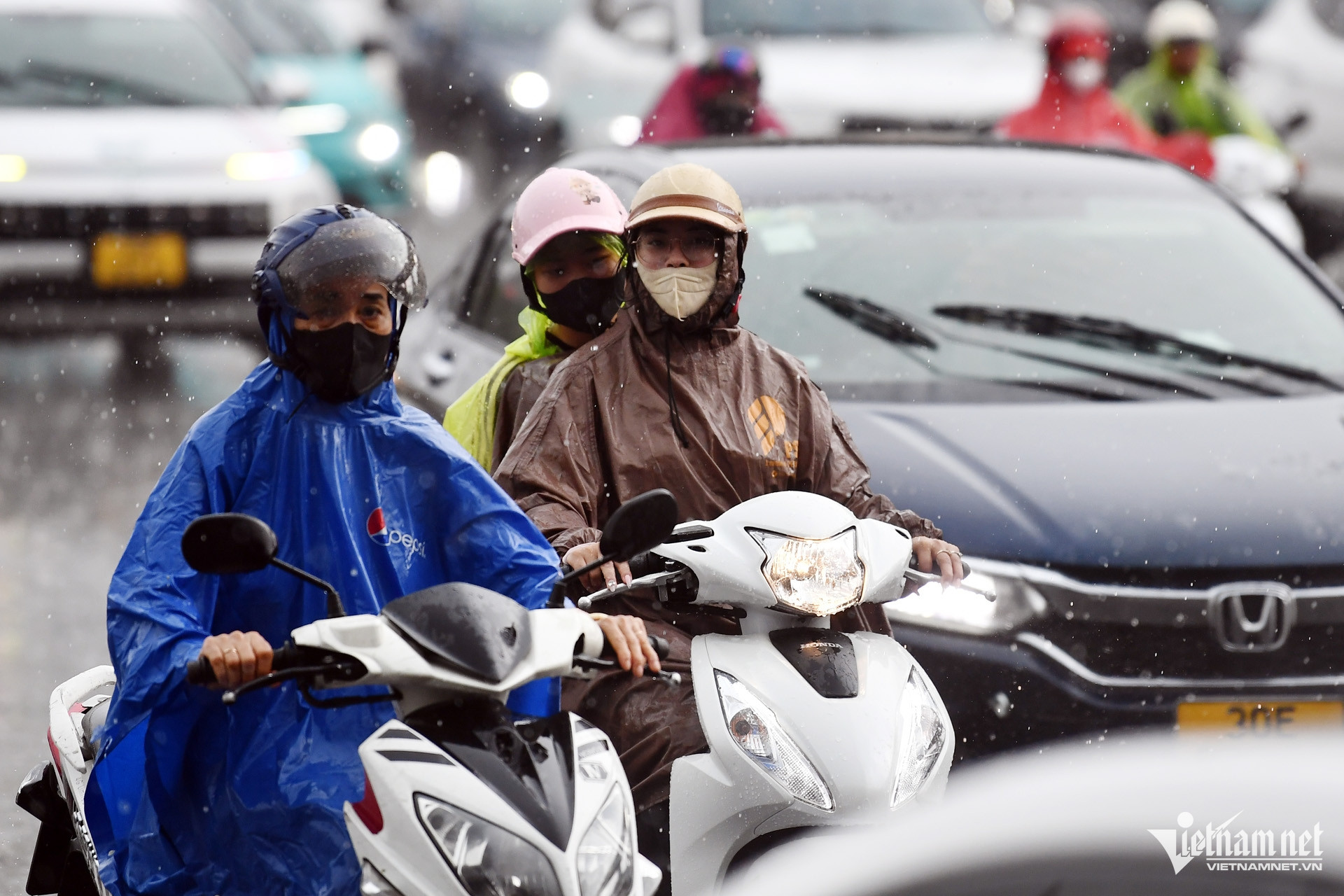 W-mua to hoang minh 2.jpg