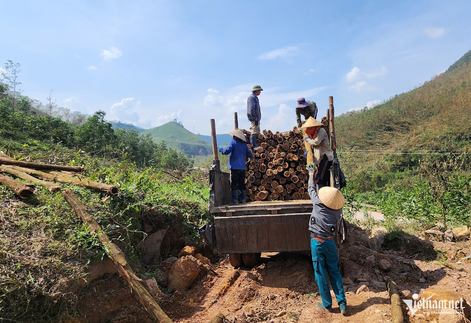 W-phát triển rừng Quảng Ninh 2.jpg