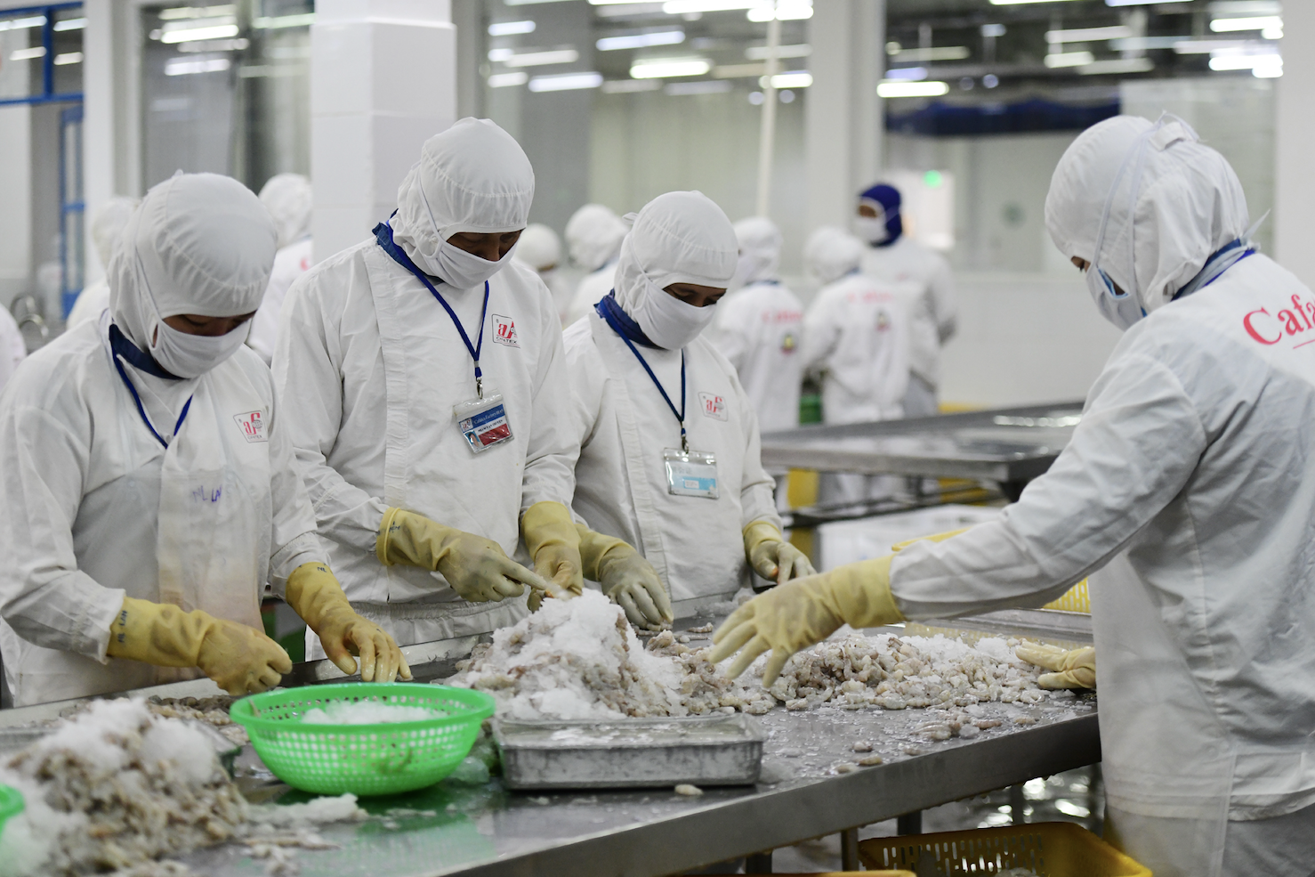 Tình thế xoay chuyển, Trung Quốc bất ngờ thành khách hàng số 1 mua tôm cá Việt