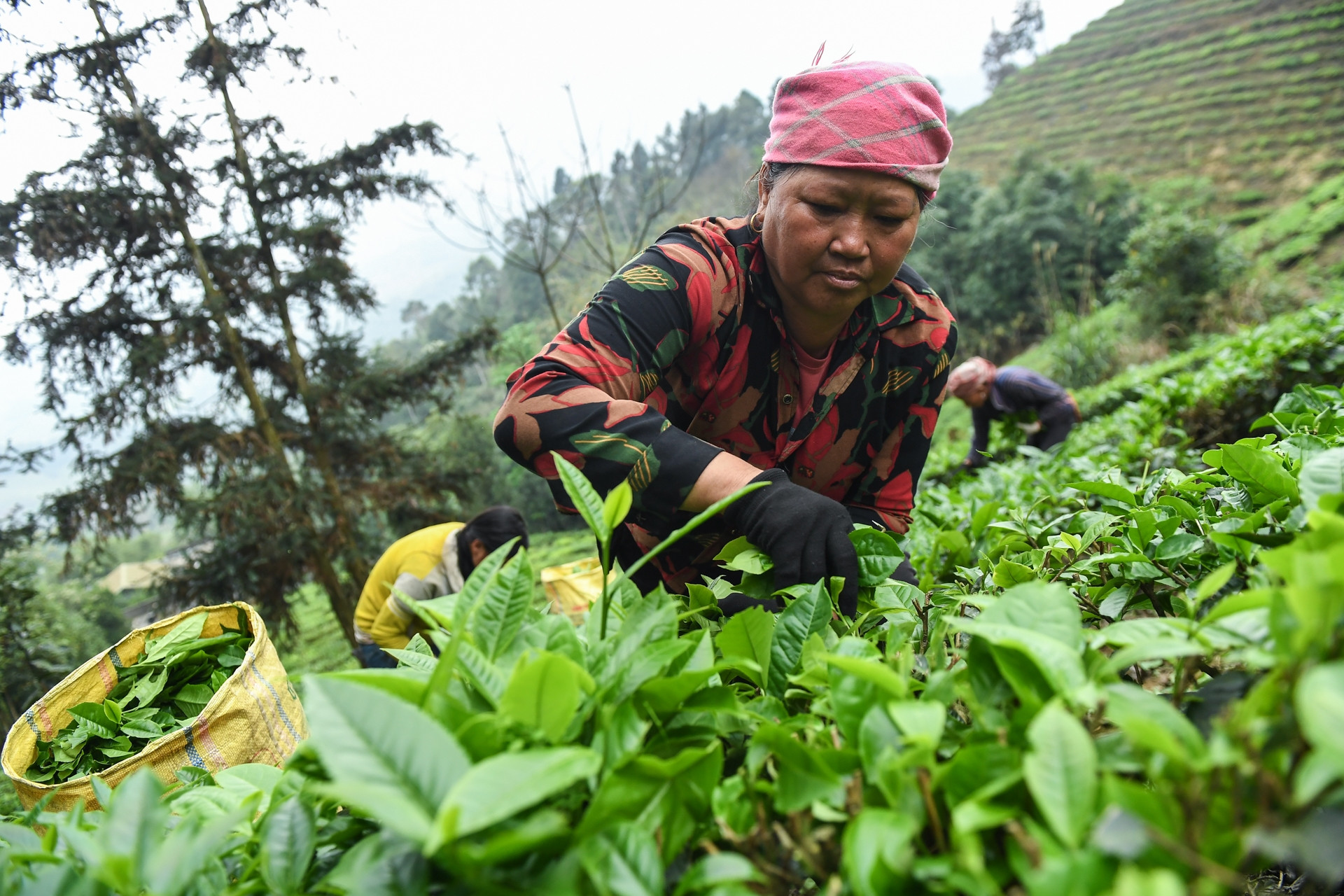 Lý do vẫn còn địa phương khó hấp thụ, giải ngân vốn Chương trình 1719