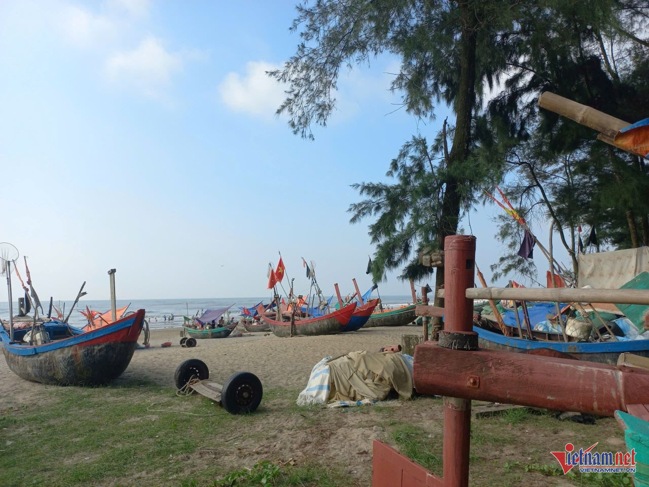 W-anh bai thnah hoa chuan.jpg