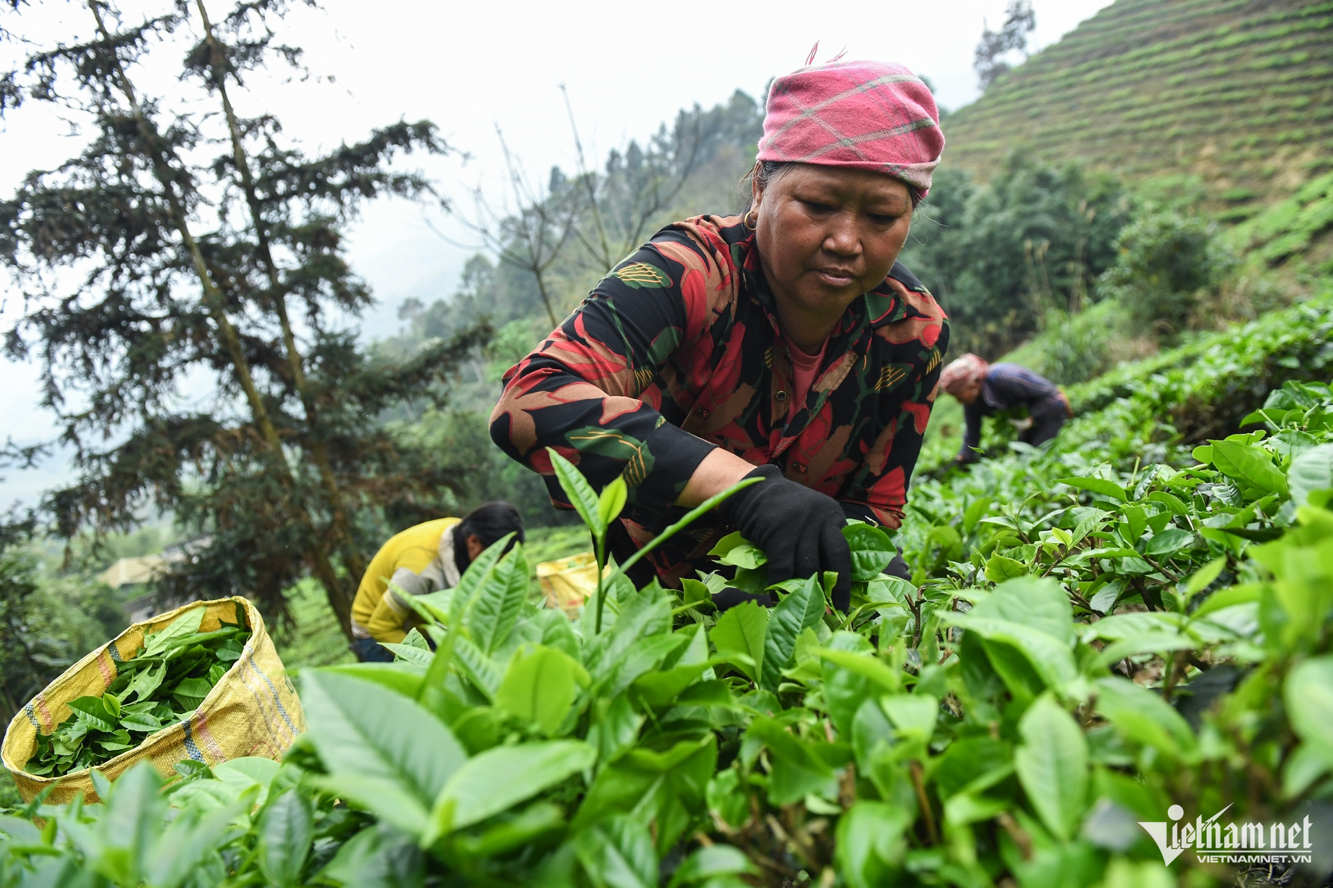 W-Anh bai von 1719.jpg