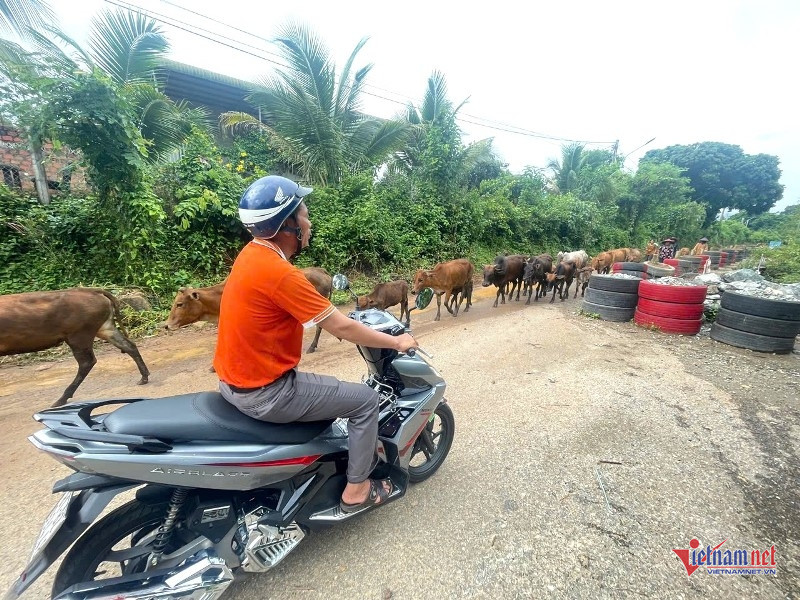 W-Đường sạt lở 7.jpg