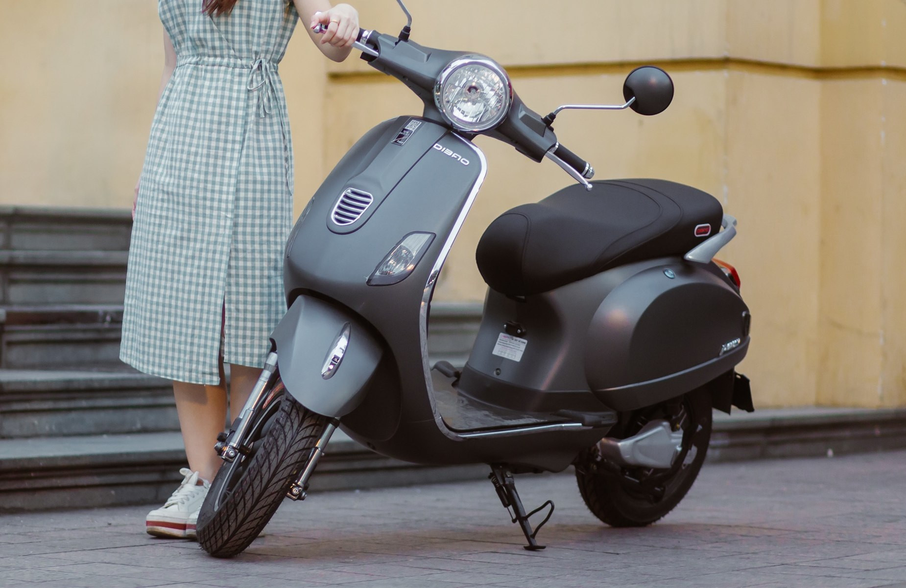 Dibao Pansy S 8(1).jpg