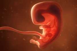 Kỳ tích y học: Trẻ em ra đời không mắc bệnh di truyền nhờ sự kết hợp của 3 bố mẹ