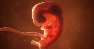 Kỳ tích y học: Trẻ em ra đời không mắc bệnh di truyền nhờ sự kết hợp của 3 bố mẹ