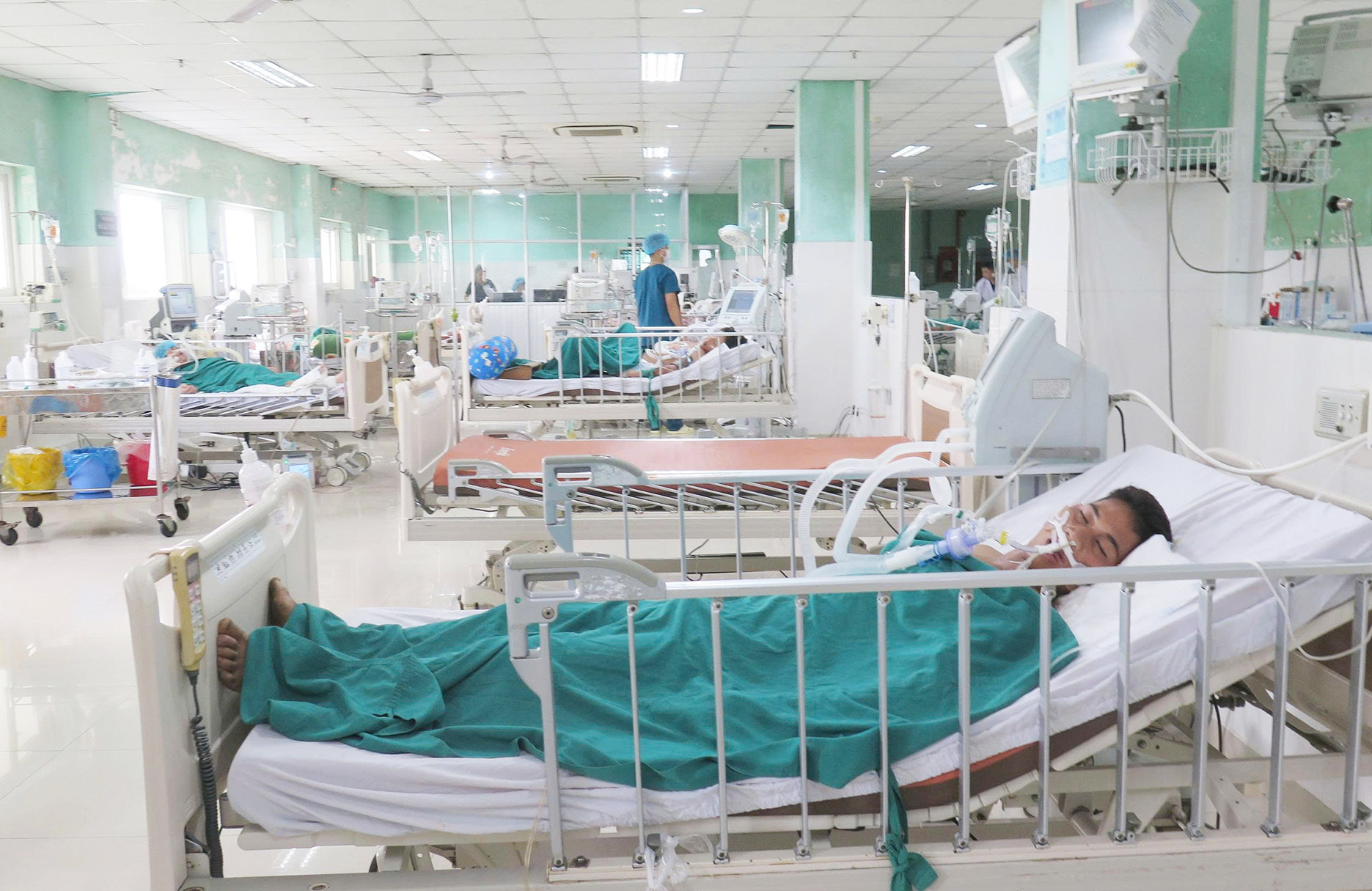 Ngộ độc cà 2.jpg