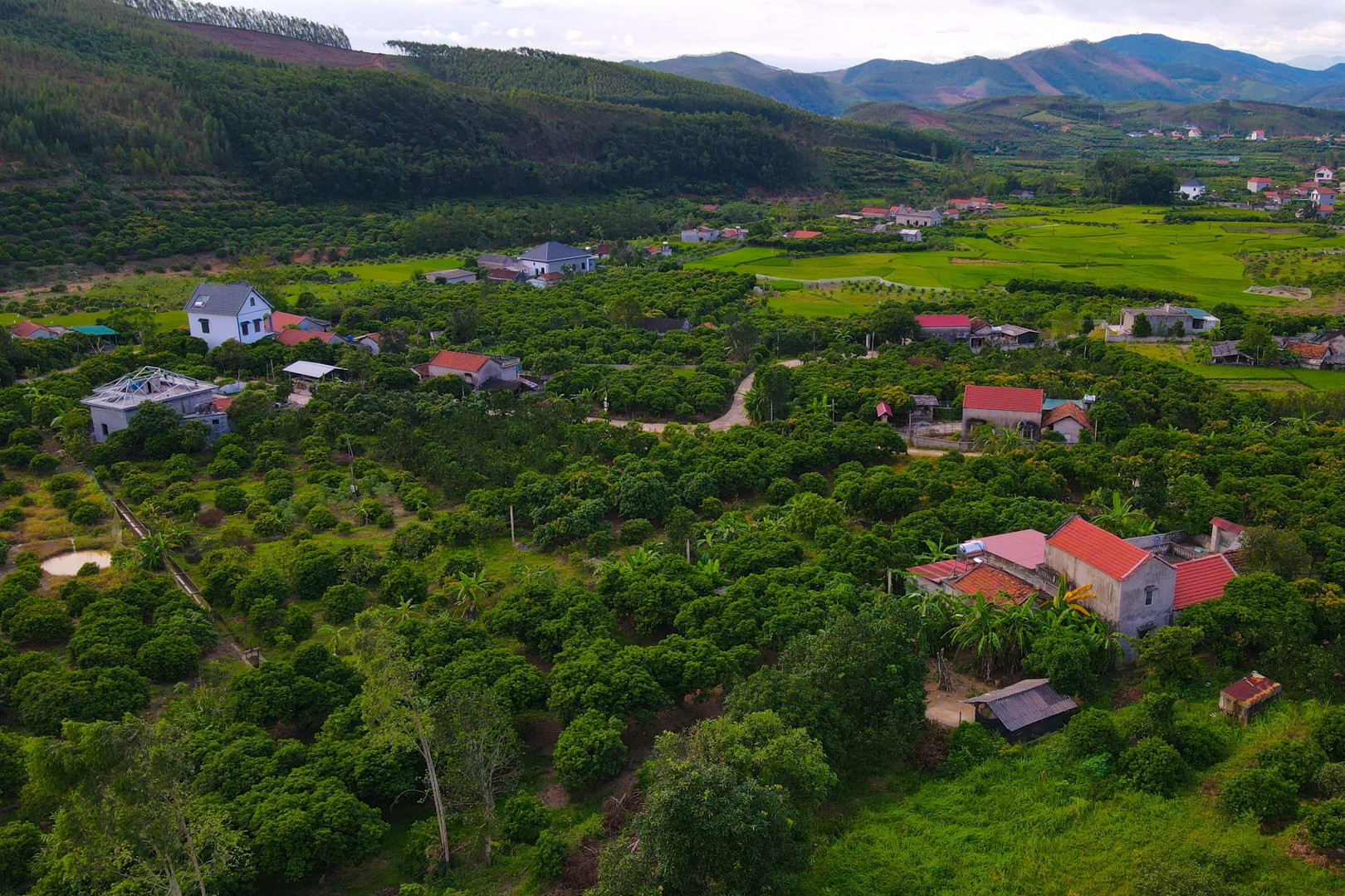 Sẽ thu gọn đầu mối quản lý Chương trình 1719, trao toàn quyền cho địa phương