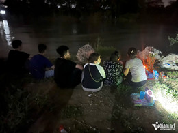 W-sâm cầm_6.JPG.jpg
