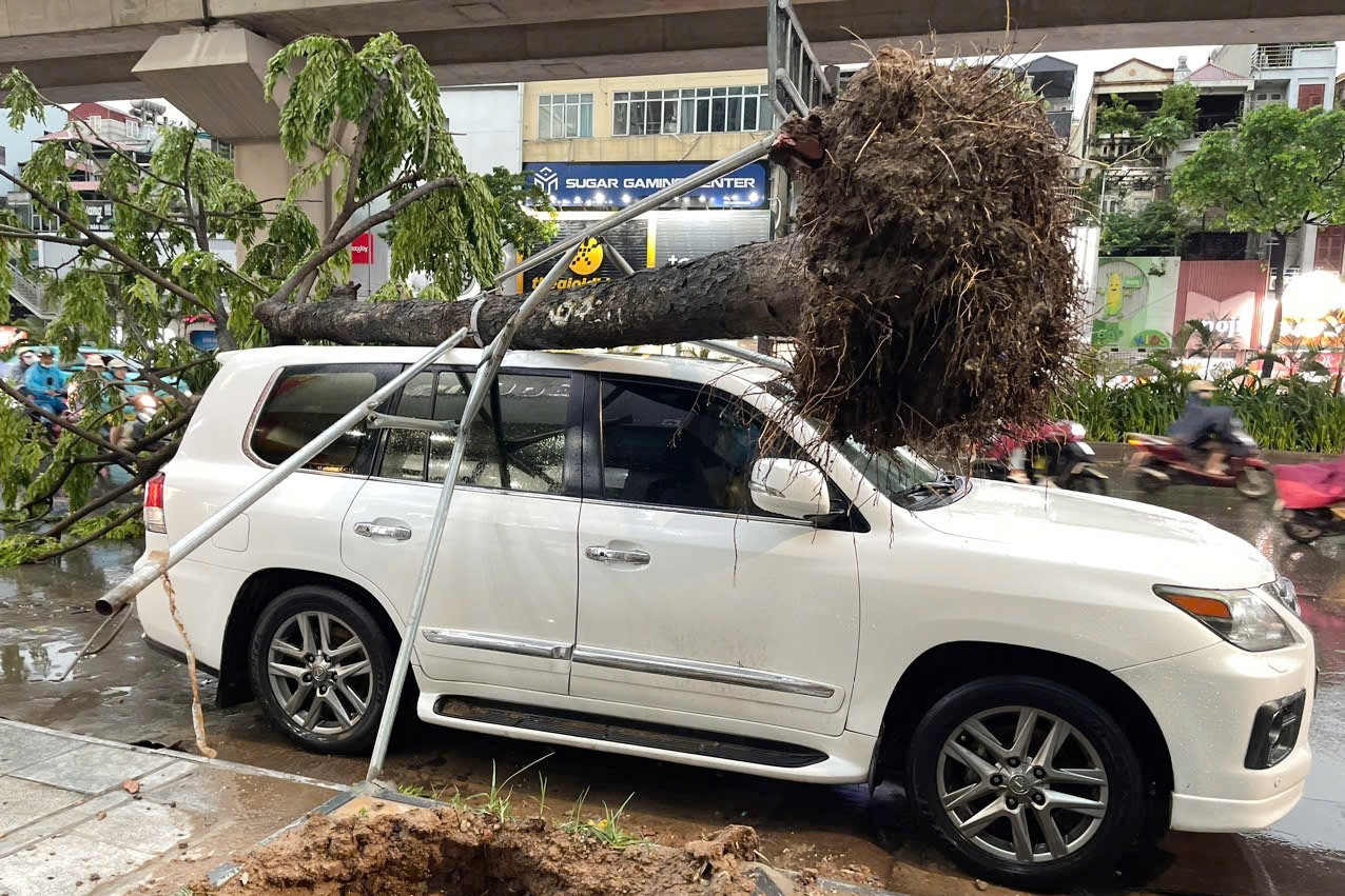 Lexus LX570, Hyundai Tucson bị cây đè trúng trong cơn giông bất ngờ ở Hà Nội