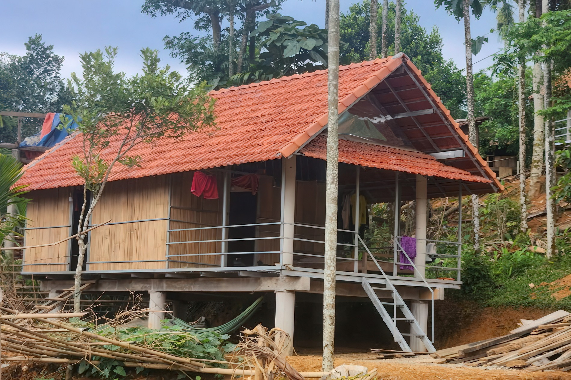 Anh 8 gigapixel low resolution v2 6x.jpeg