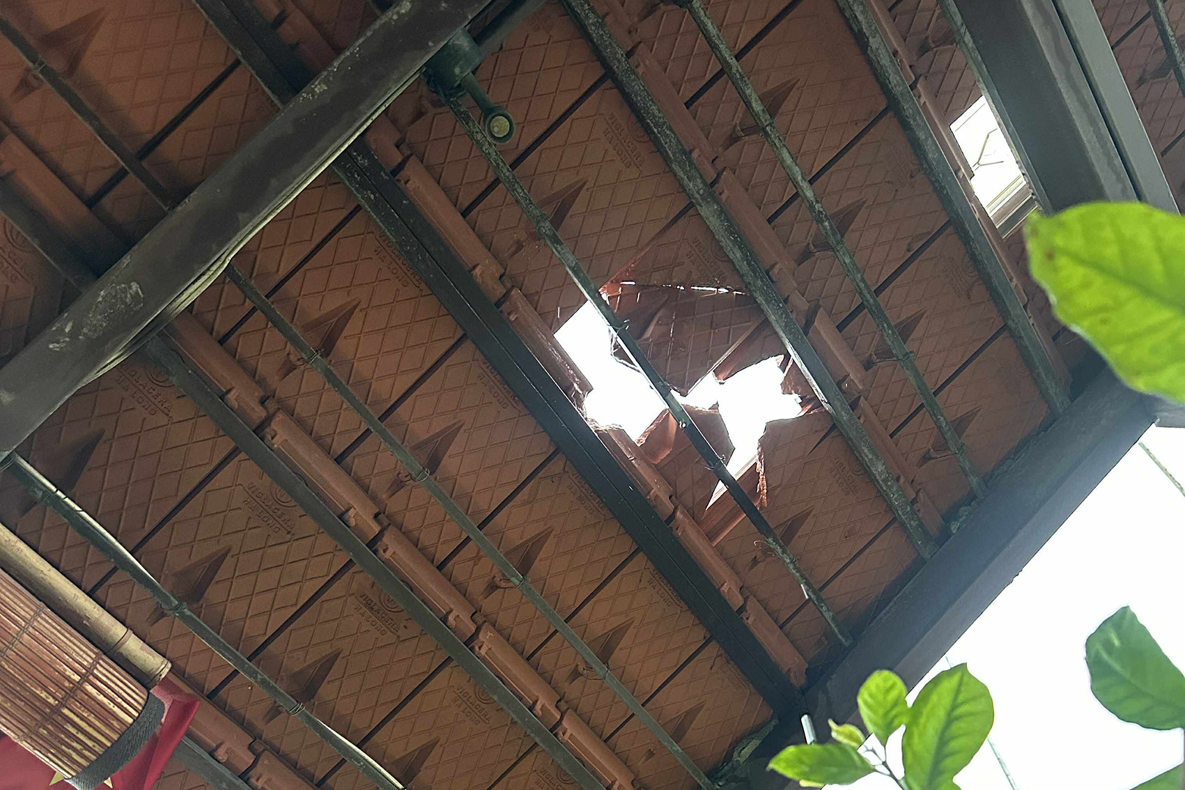 c2de741e 0849 492d 8de2 3783bd6a5c81.jpeg