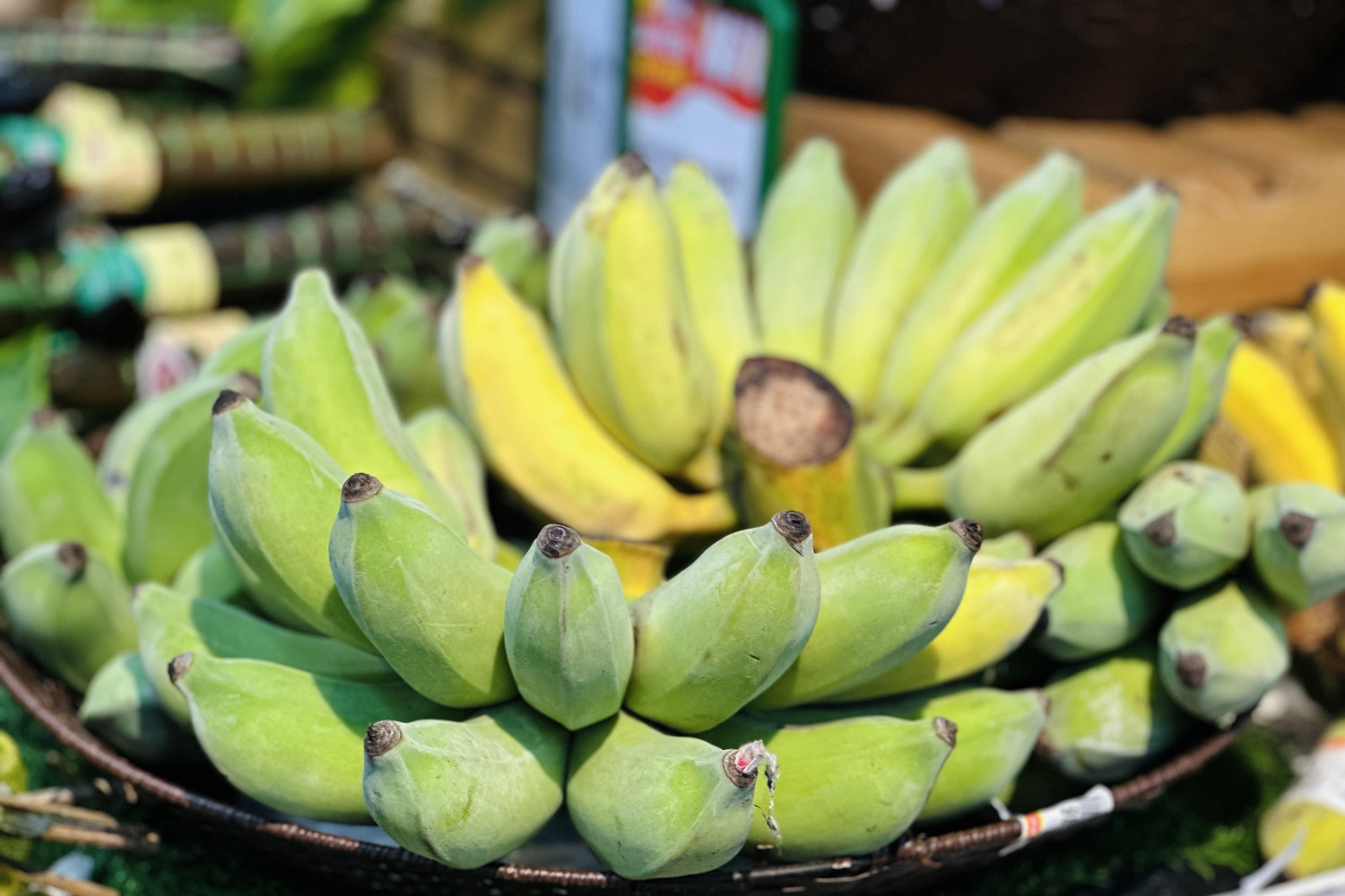 Điều gì xảy ra với đường ruột khi bạn ăn chuối thường xuyên?