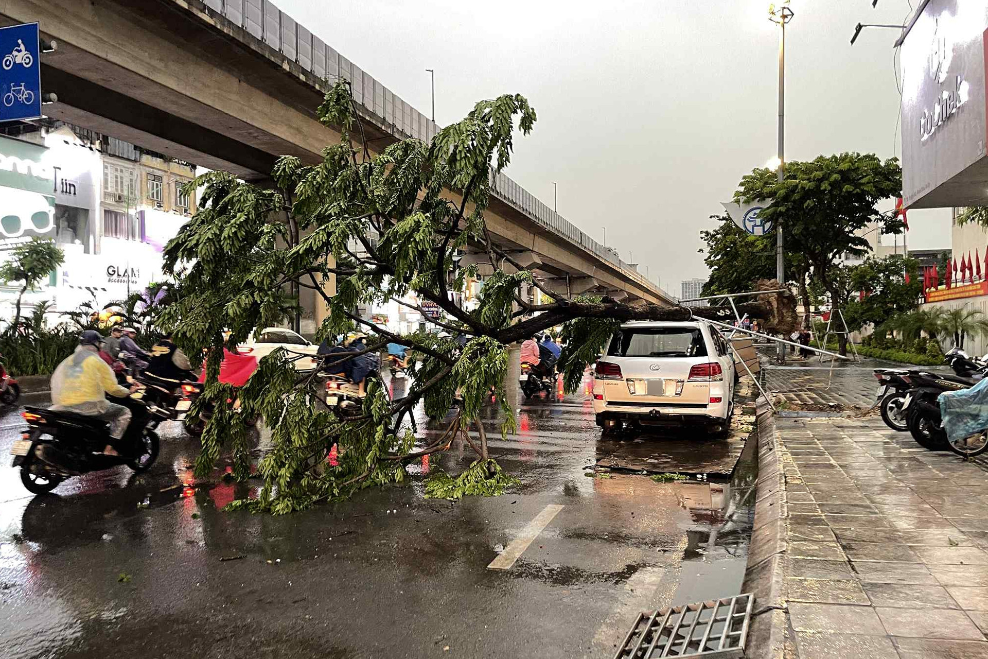 Mưa giông bất ngờ ập xuống Hà Nội, cây đổ đè trúng xe Lexus