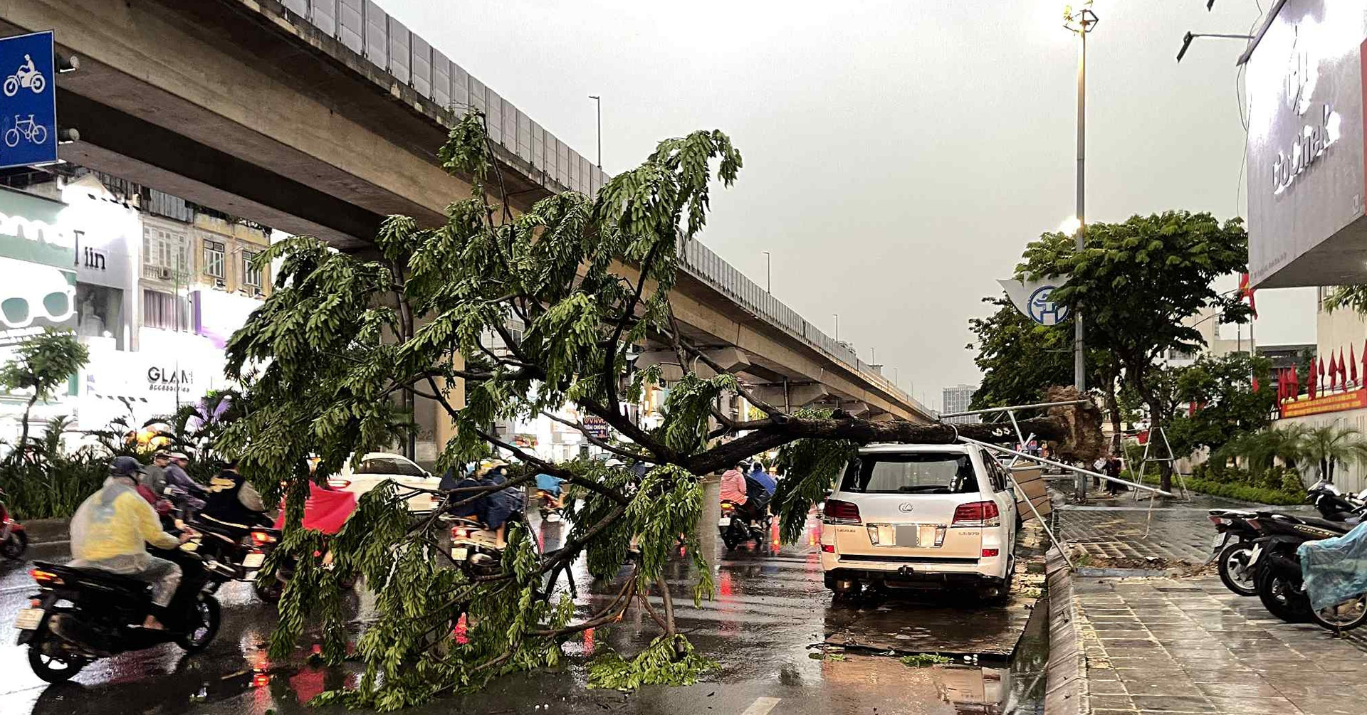 Mưa giông bất ngờ ập xuống Hà Nội, cây đổ đè trúng xe Lexus