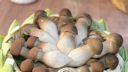 Nấm mối 4.jpg