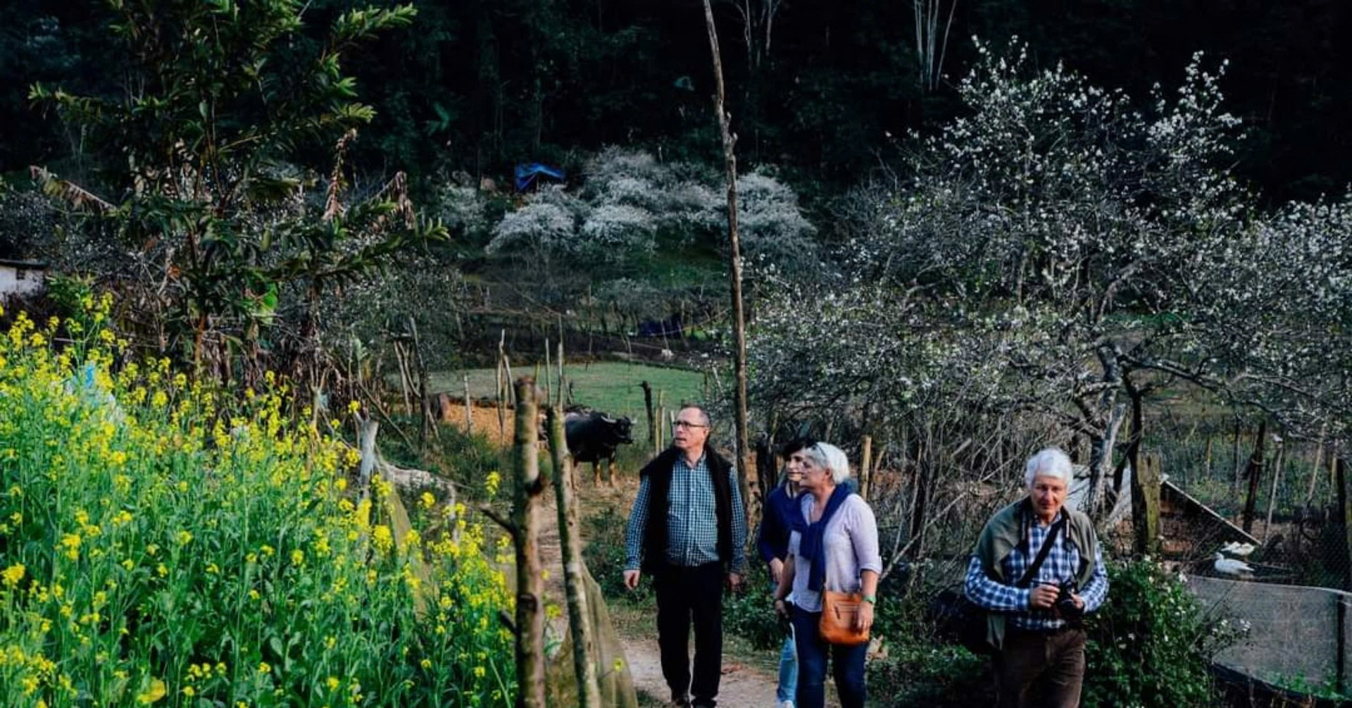 Từ chối vận chuyển ma túy, Tráng A Chu làm nên homestay tiền tỷ nơi rẻo cao