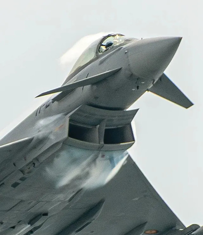 tiem kich va phai chim 4.jpg