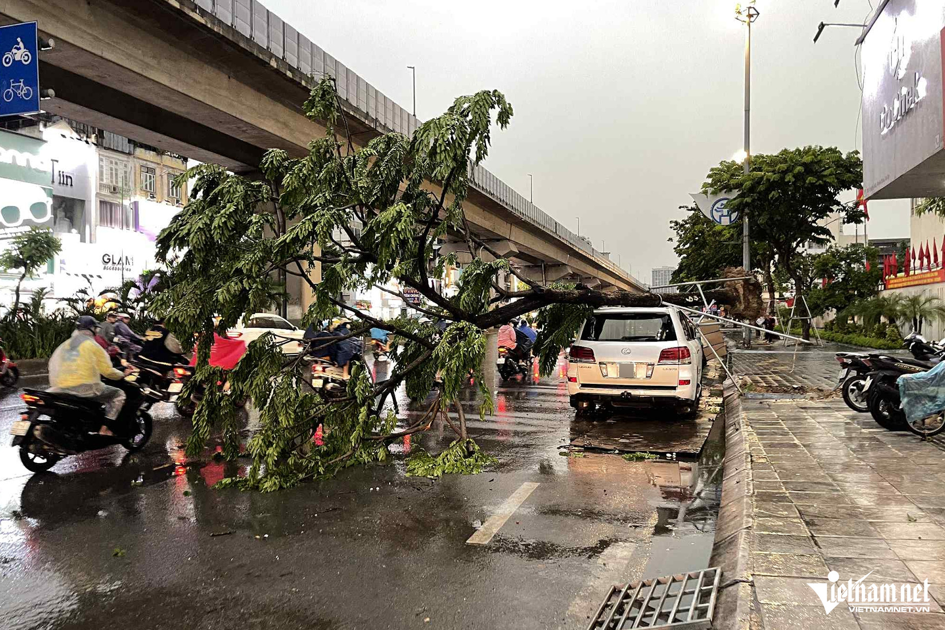 W-7d539547 c16f 450d 889b 426daf16668d.jpg