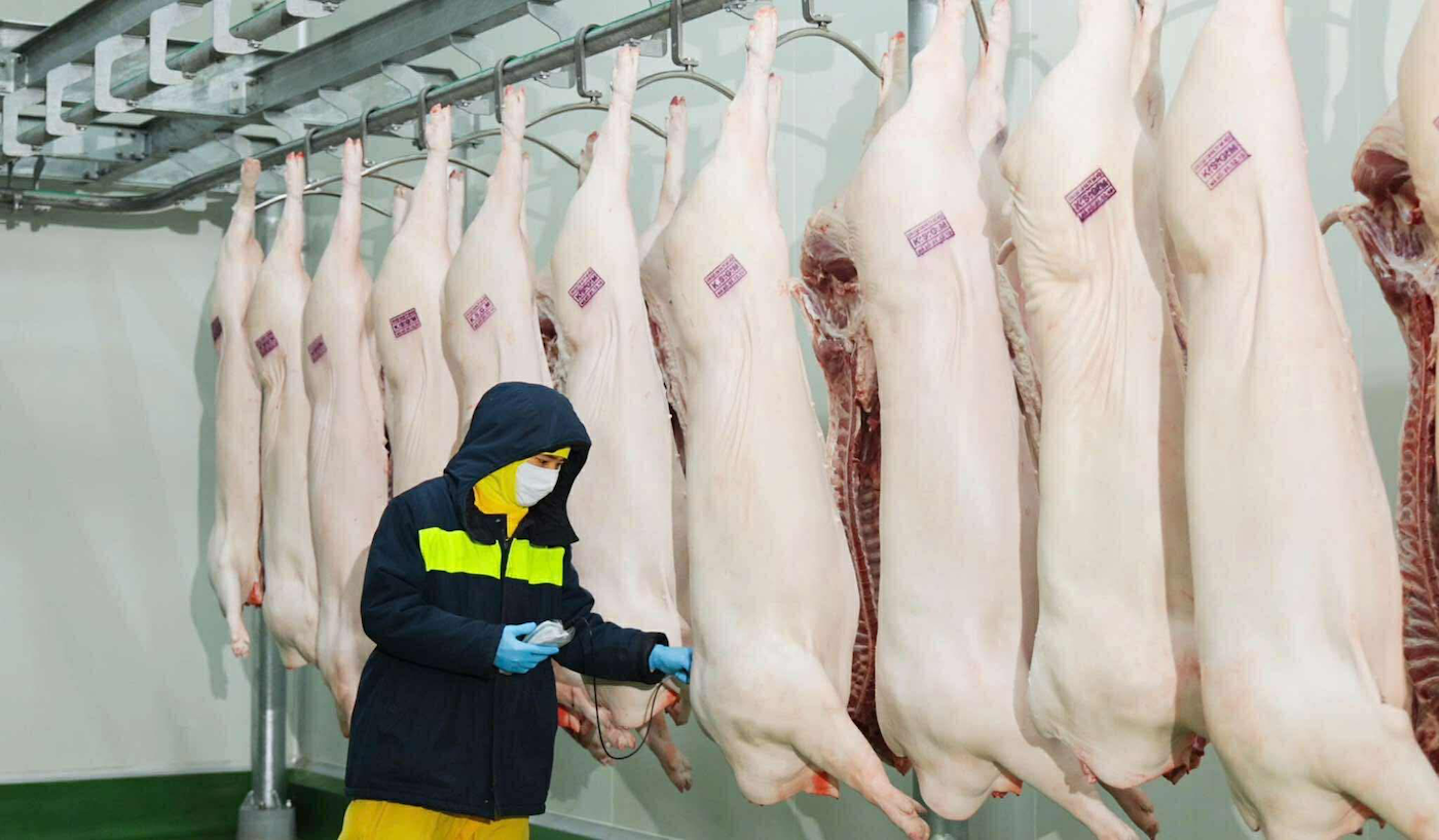 4640C7C1 6D2C 4370 A822 7EF9228672F7.png