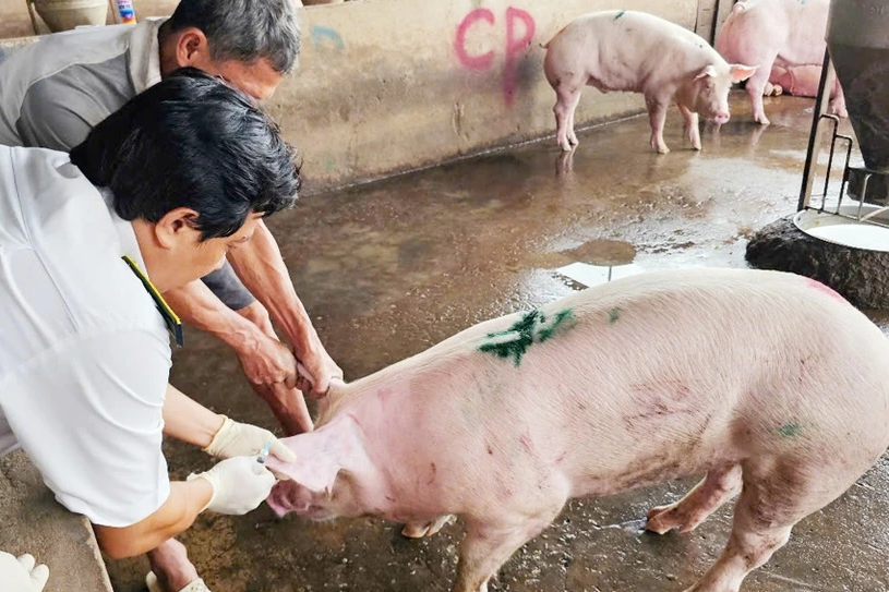 Bản tin trưa 2/7: C.P. Việt Nam công bố kết quả của công an về tố cáo thịt heo