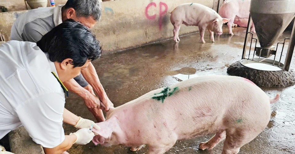 Bản tin trưa 2/7: C.P. Việt Nam công bố kết quả của công an về tố cáo thịt heo