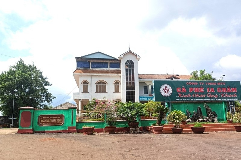 Bắt tạm giam cựu Giám đốc Công ty cà phê la Châm