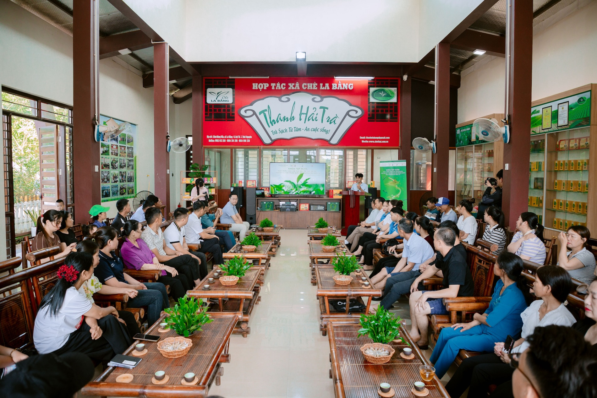 An cư, lạc nghiệp trên các đồi chè Thái Nguyên bền vững