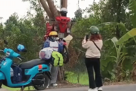 Mô hình xe máy ‘xuyên cây' ở An Giang khiến triệu người tò mò, tranh cãi