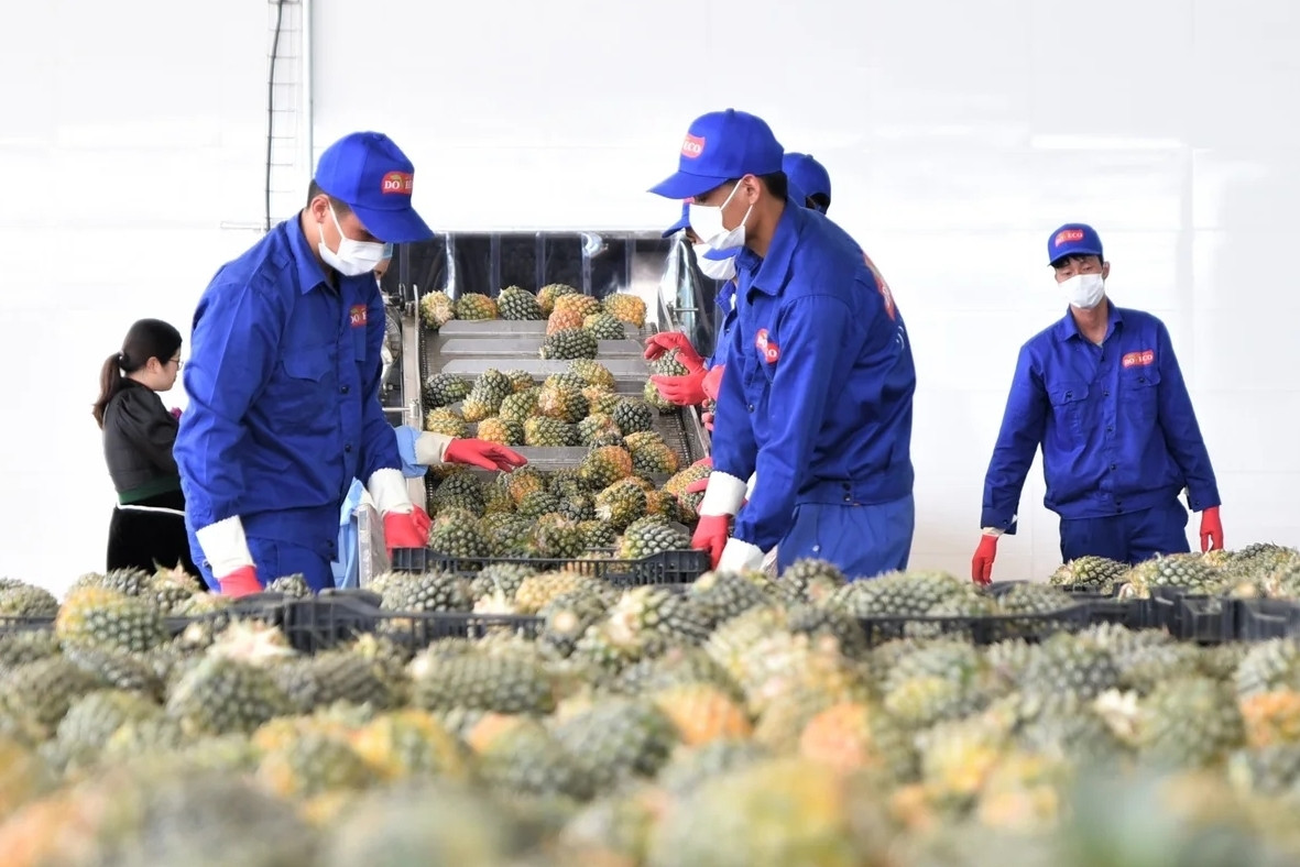 'Mỏ vàng' ẩn giấu ở Tây Bắc và chuyện ghi tên trên thị trường quốc tế