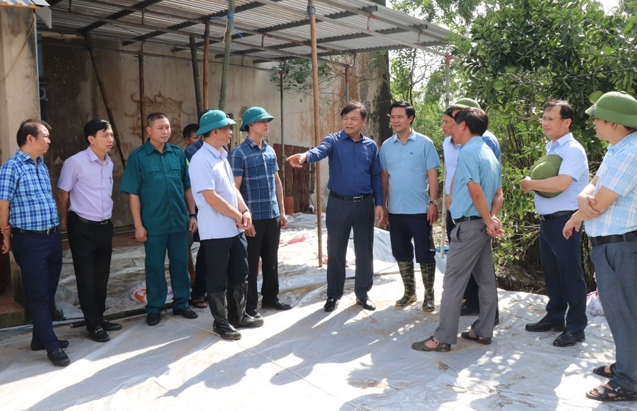 Tập trung cao độ xử lý sạt lở đê tả Cầu và sự cố mạch sủi tại trạm bơm Cẩm Bào
